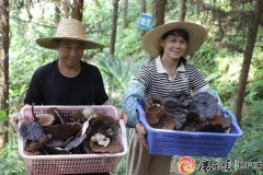 农业农村部农产质量量平安核心发布202